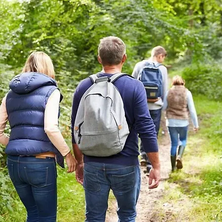 沃尔夫莫特斯兰德酒店 酒店 3*